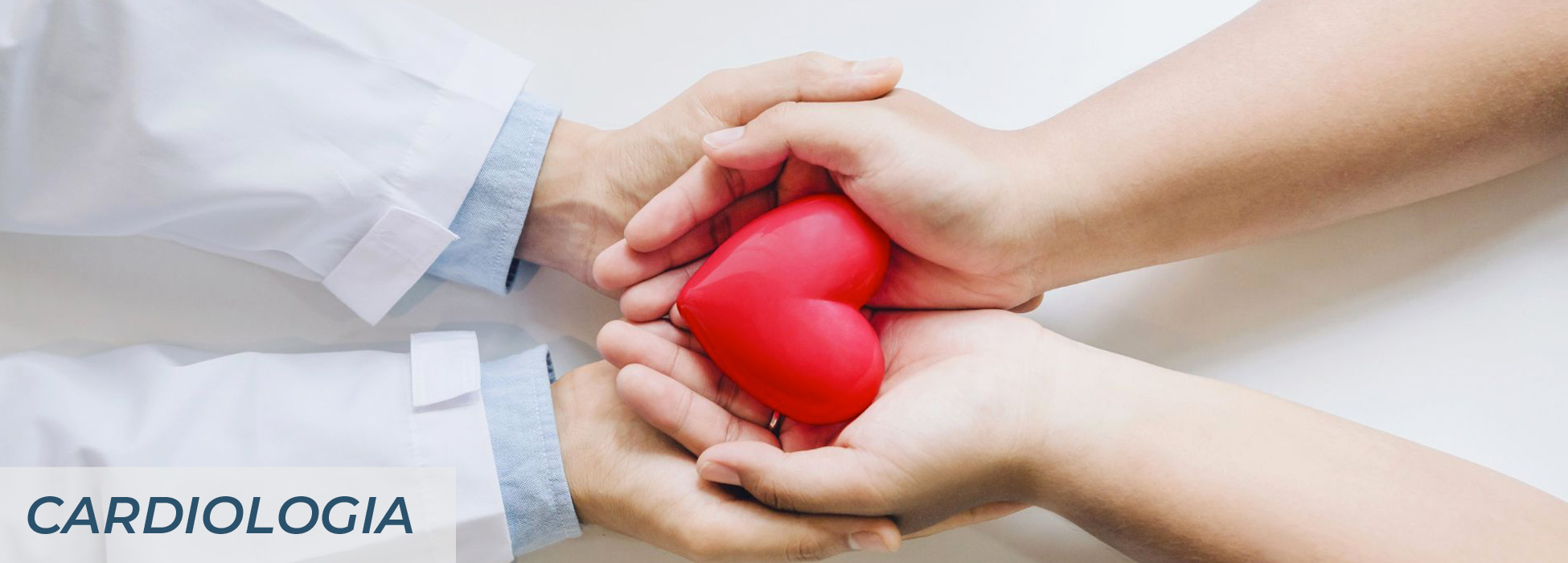 cardiologia-2024